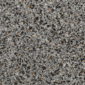 Caucasus Gray