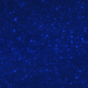 Cobalt Glass
